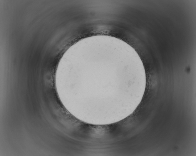 X0000115710370200912241549