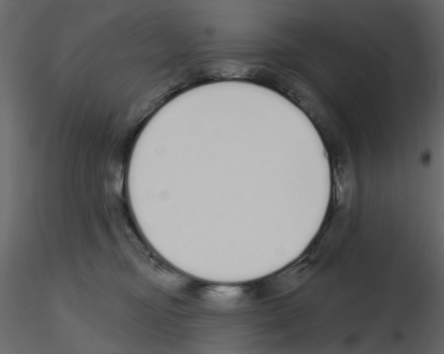 X0000115710374200912241549