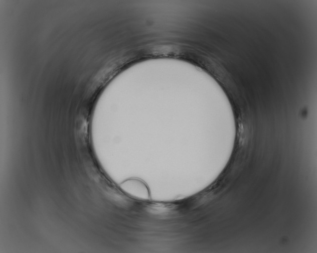 X0000115710375200912241549