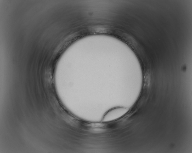 X0000115710377200912241549