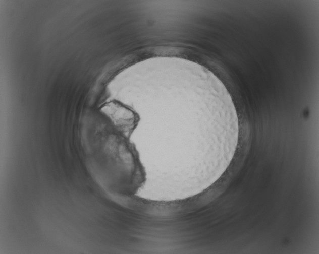 X0000115710381200912241549