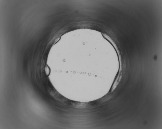 X0000115710382200912241549