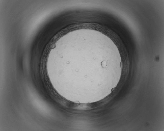 X0000115710383200912241549