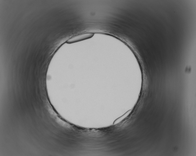 X0000115710385200912241548