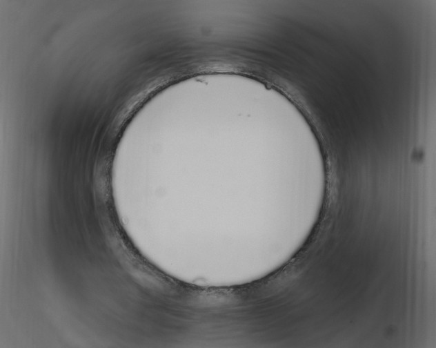 X0000115710386200912241548