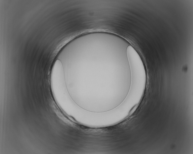 X0000115710389200912241548