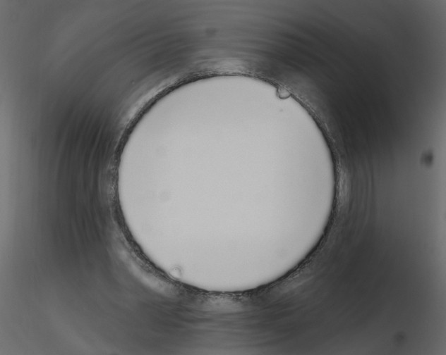 X0000115710390200912241548