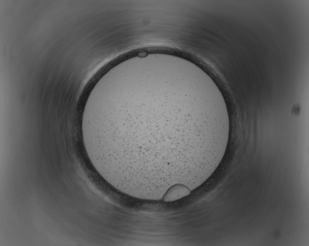 X0000115710391200912241548