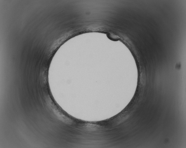 X0000115710393200912241548