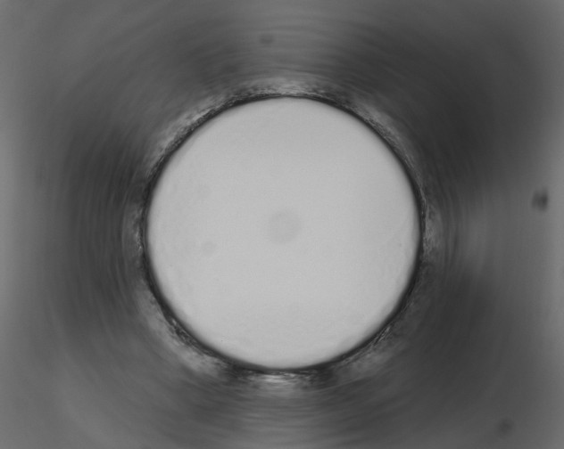 X0000115710394200912241548