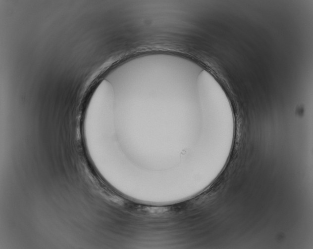 X0000115710395200912241548