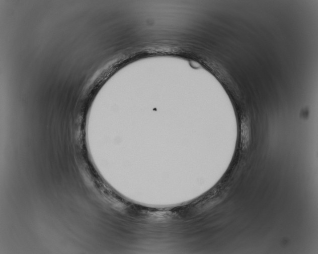 X0000115710396200912241548