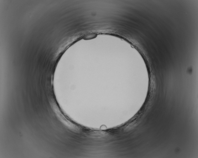 X0000115710397200912241548