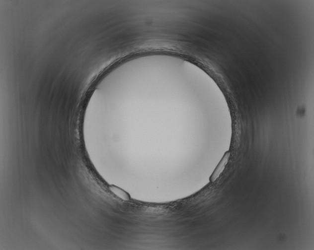 X0000115710399200912241548