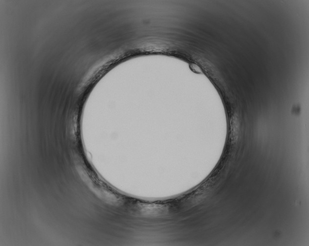 X0000115710400200912241548