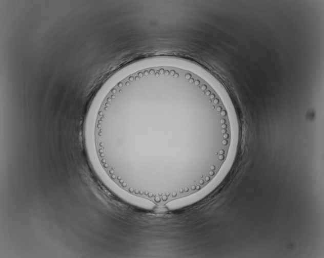 X0000115710401200912241548