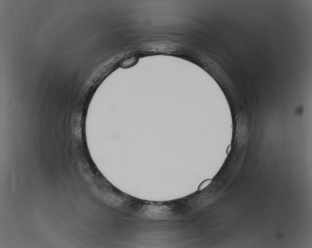 X0000115710403200912241548