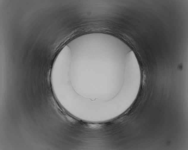 X0000115710405200912241548