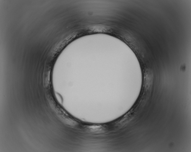 X0000115710406200912241548