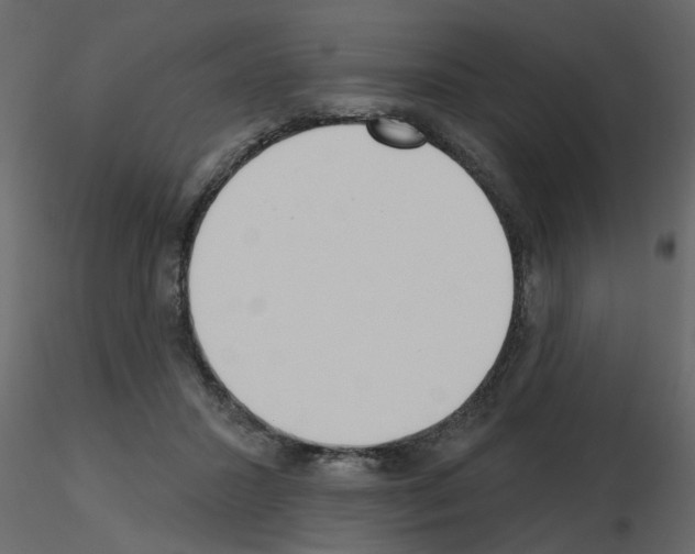 X0000115710407200912241548