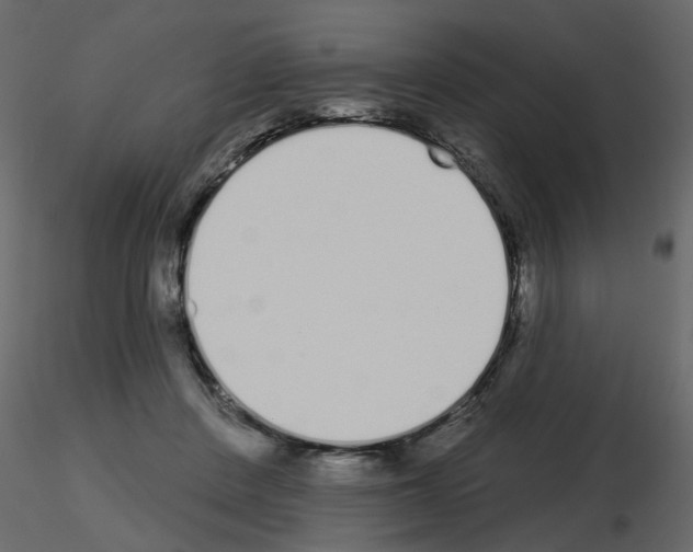 X0000115710408200912241548