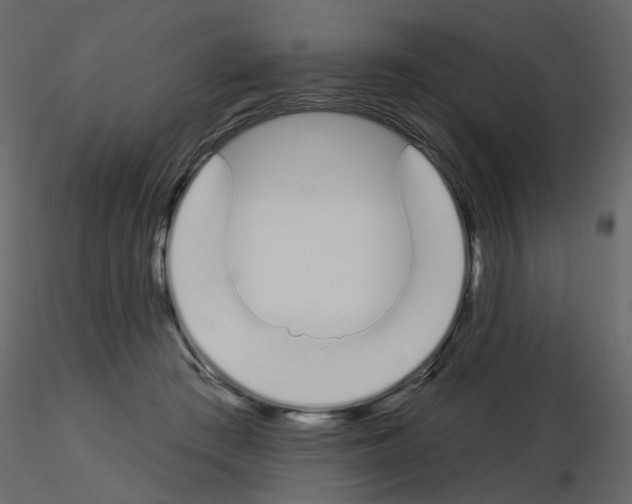 X0000115710409200912241548