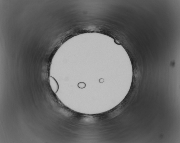 X0000115710416200912241548