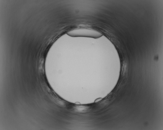 X0000115710417200912241548