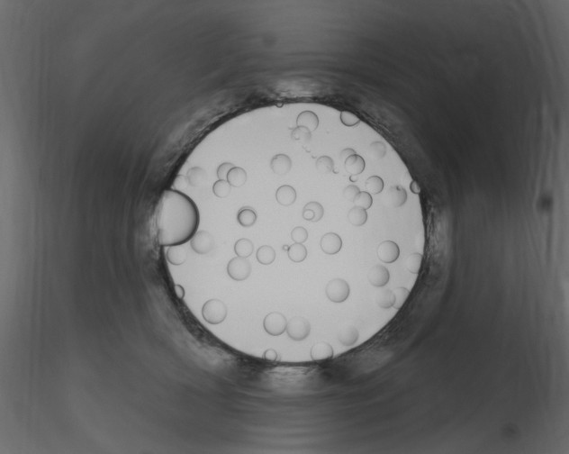 X0000115710418200912241548