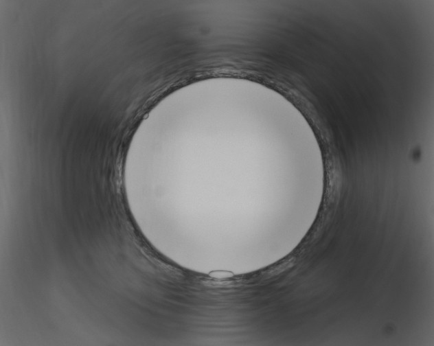 X0000115710419200912241548