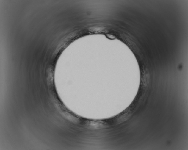 X0000115710420200912241548