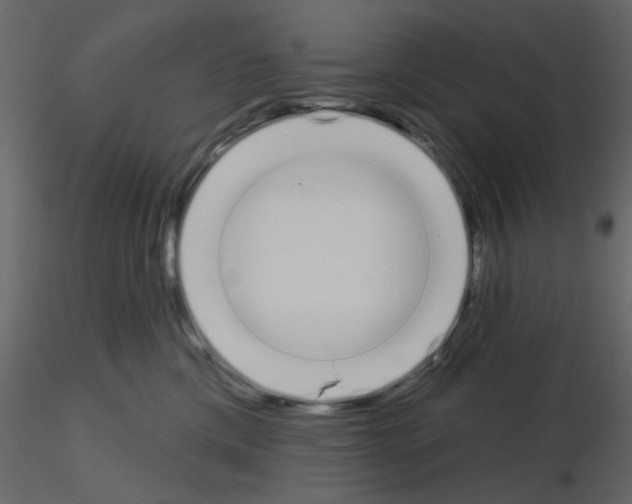 X0000115710425200912241548