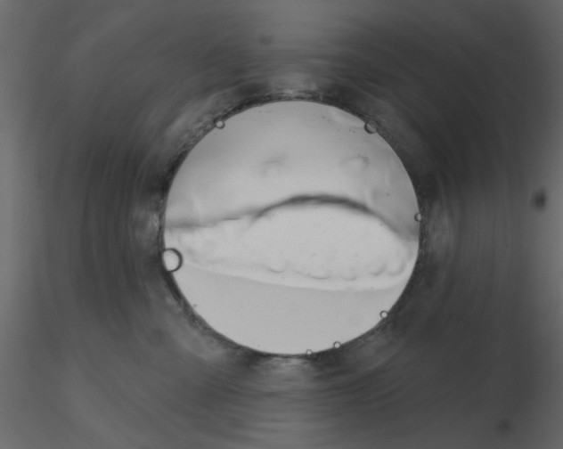 X0000115710427200912241547