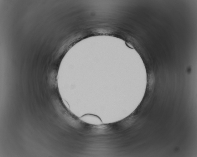 X0000115710428200912241547