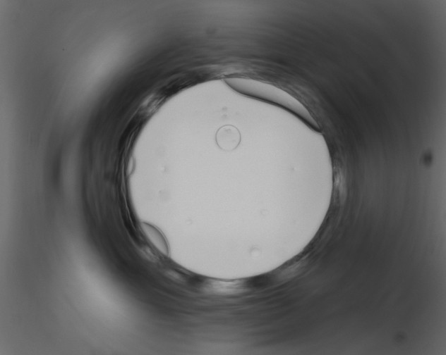 X0000115710429200912241547