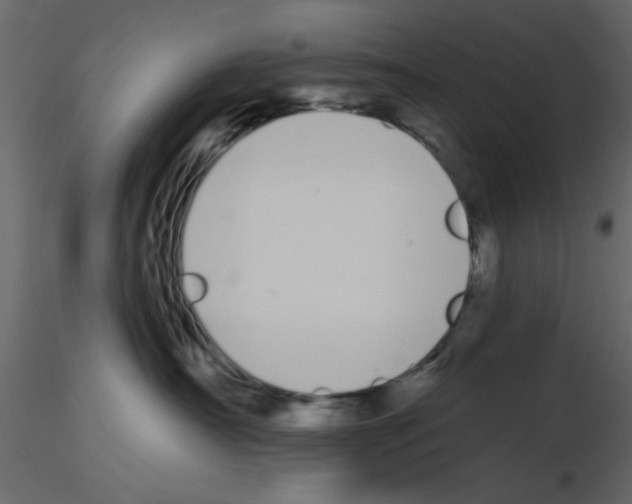 X0000115710430200912241547