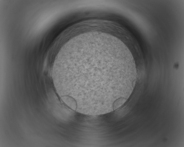 X0000115710431200912241547