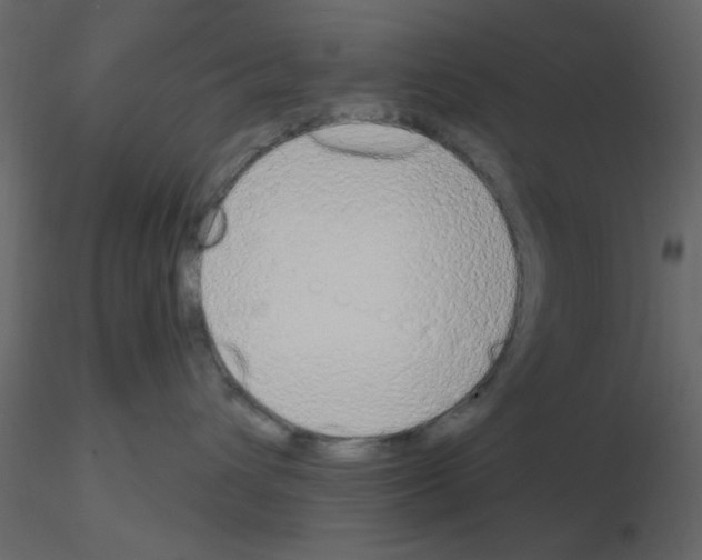 X0000115710432200912241547