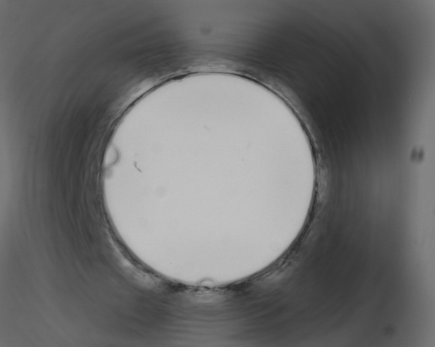 X0000115710433200912241547