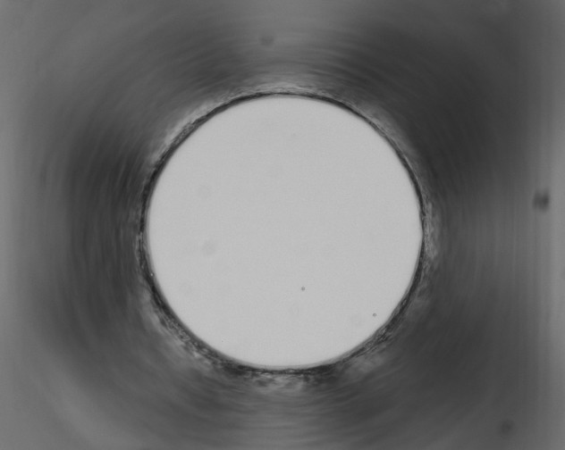 X0000115710434200912241547