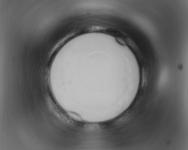 X0000115710435200912241547