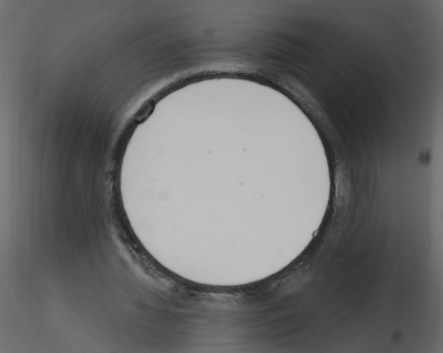 X0000115710436200912241547