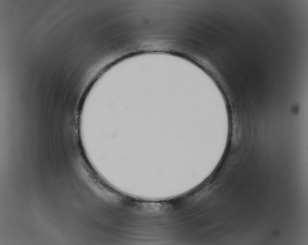 X0000115710439200912241547