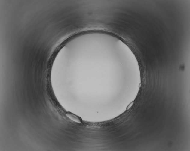 X0000115710440200912241547