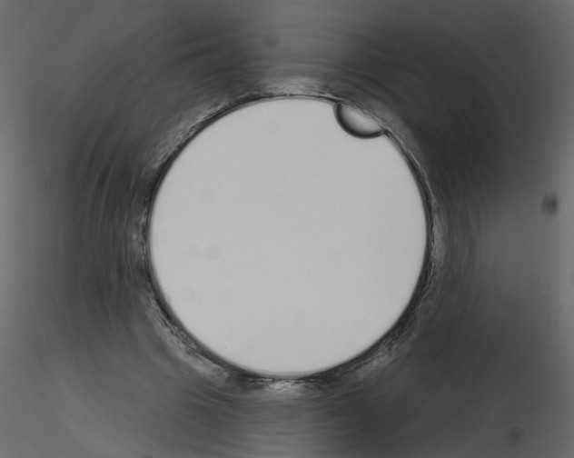 X0000115710441200912241547