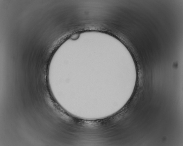 X0000115710442200912241547