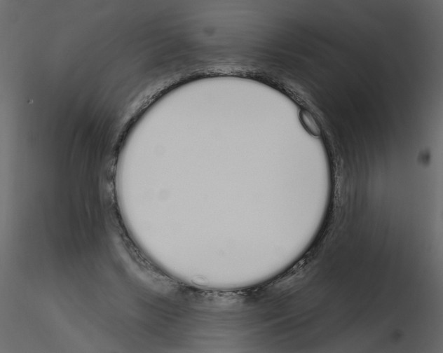 X0000115710443200912241547