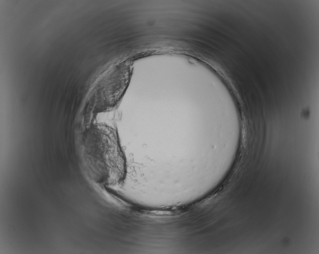 X0000115710445200912241547