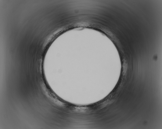 X0000115710446200912241547