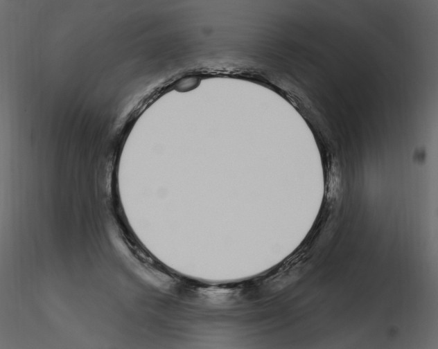 X0000115710448200912241547